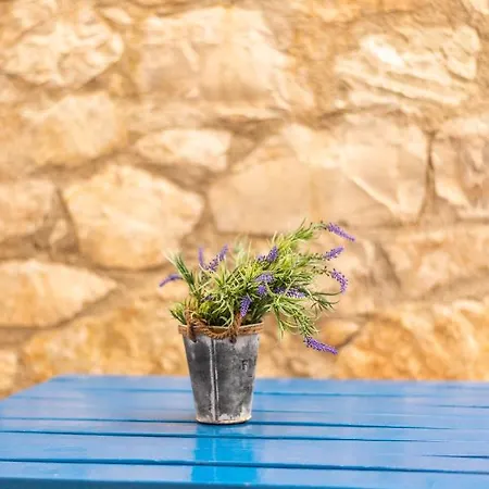 Sofia's Cozy Hotel 3*